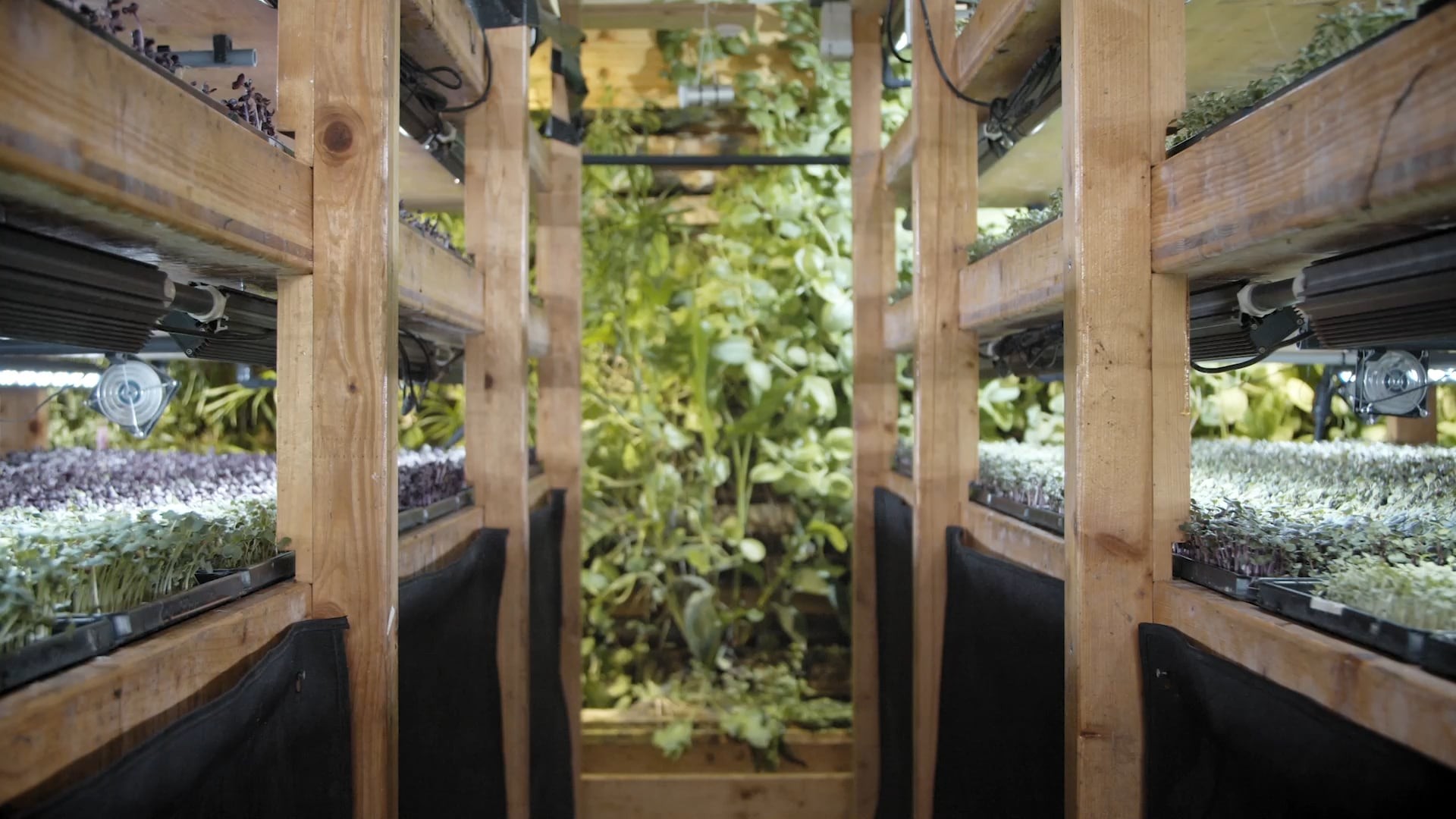 Minivoices – Umami – Stedelijke duurzaamheid